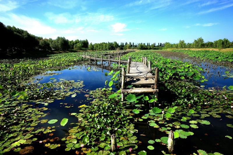 ���� 008_����.jpg