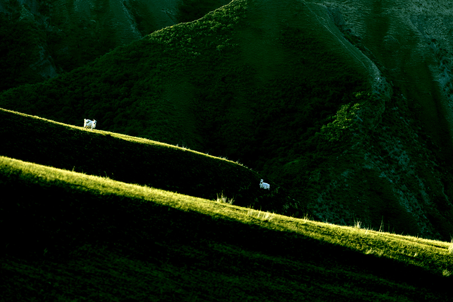 ���ܵ�һ����������