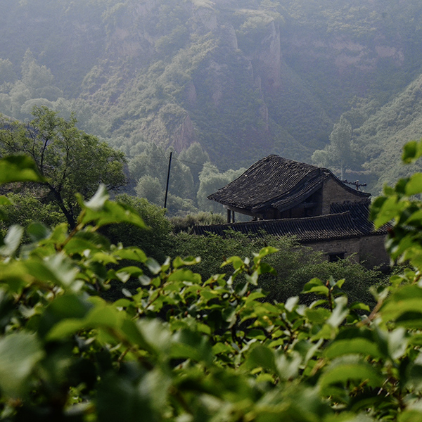 2014��6��22�������¡����� aa09012.jpg