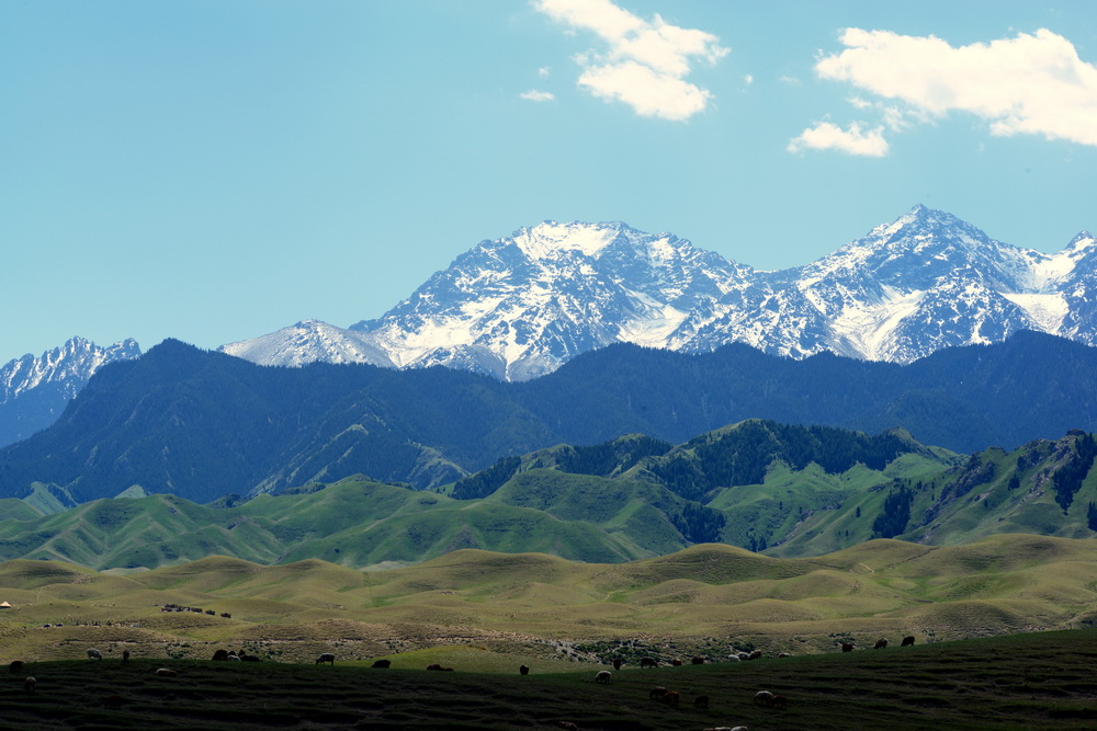 ����   ������