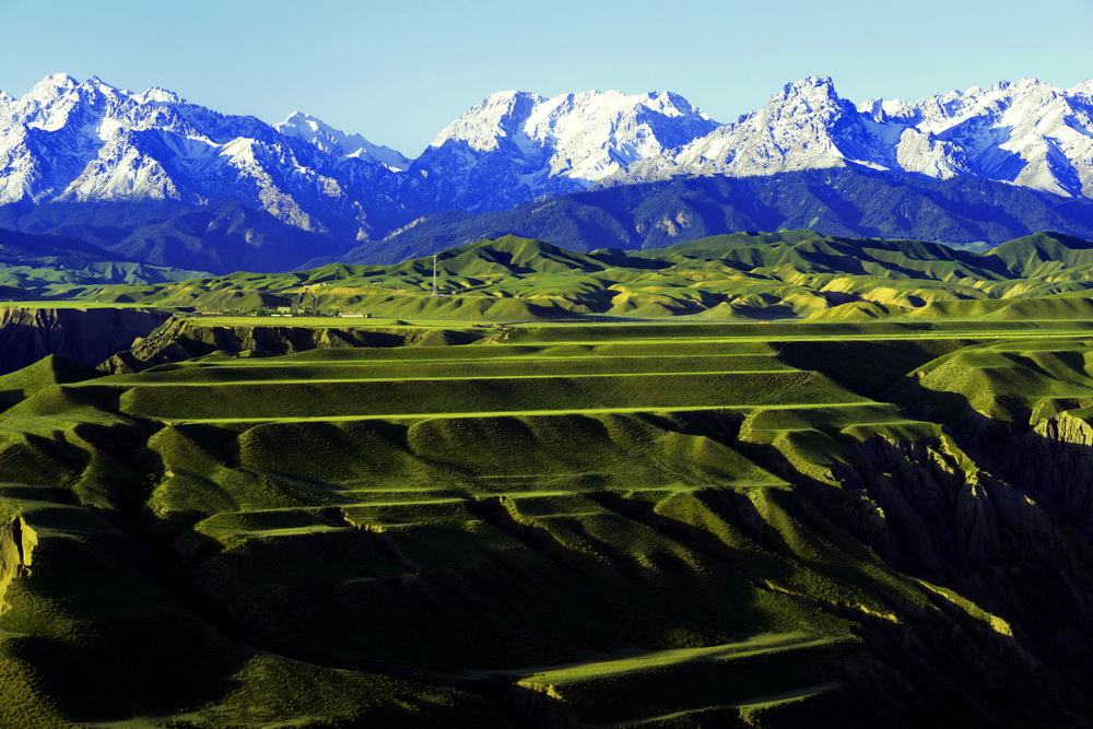 ����    ������