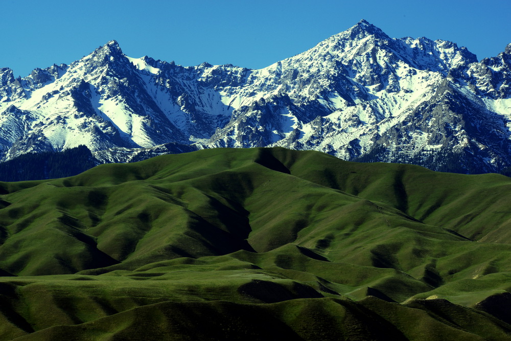 ѩ��     ������