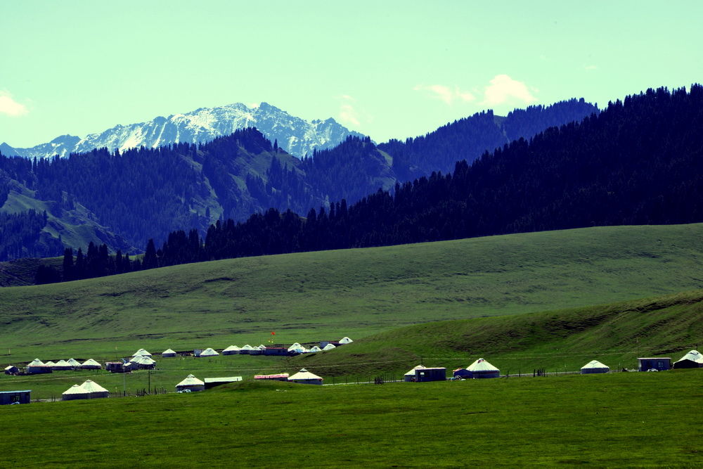 ��   ������