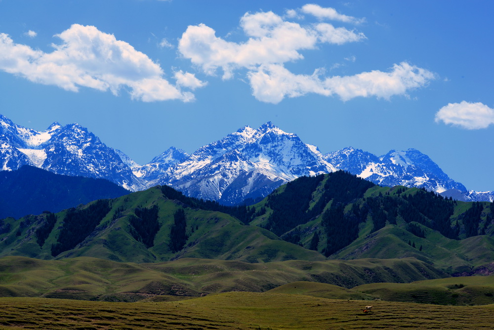 ѩ��    ������