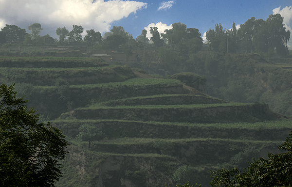 2014��6��22�������¡�����aa 06912.jpg