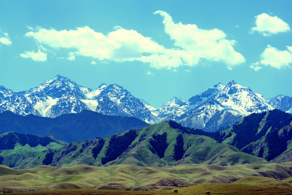 ѩɽ����    ������