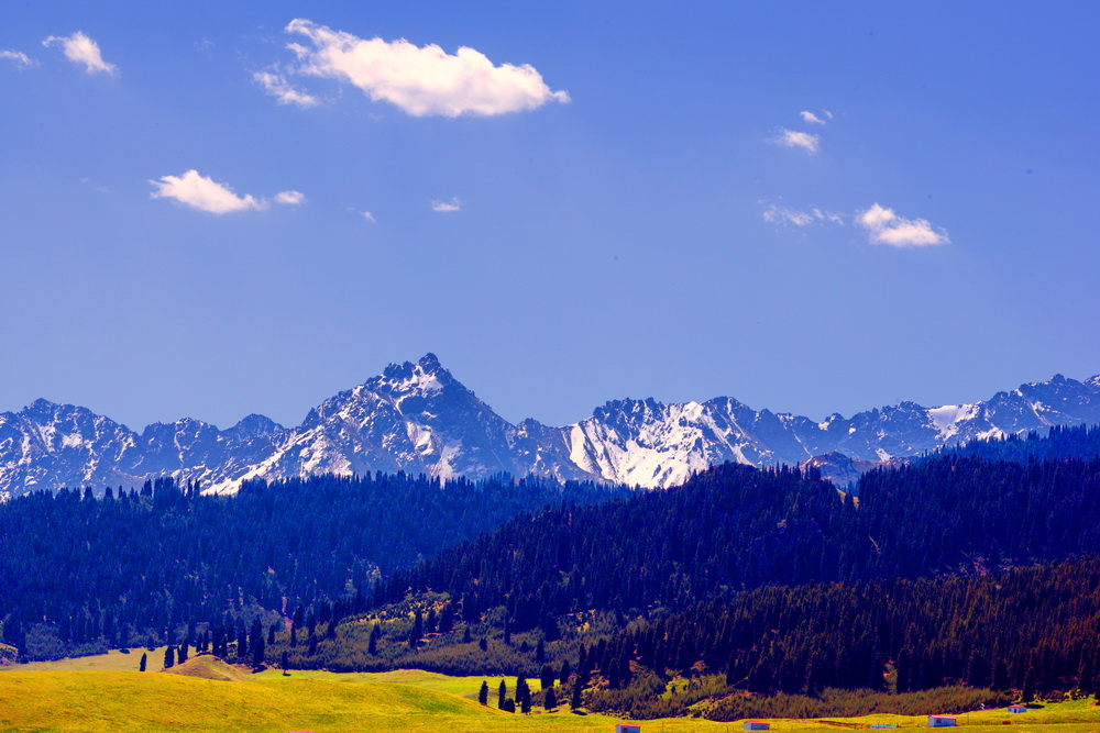 ����ϼ   ������