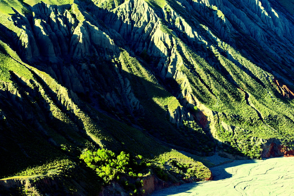 ɽ��   ������