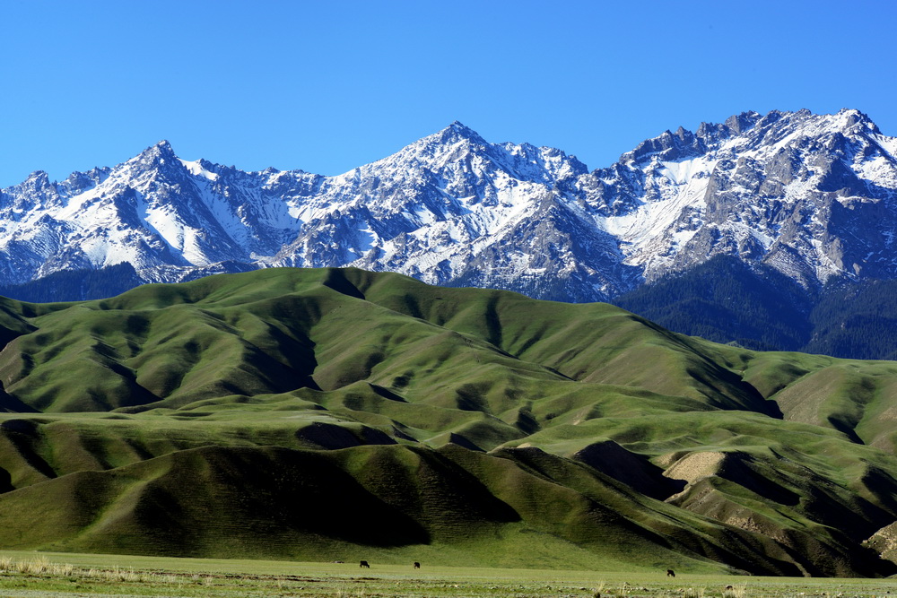 ѩɽ��   ������