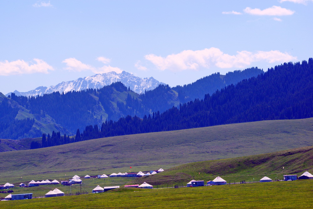 ����   ������