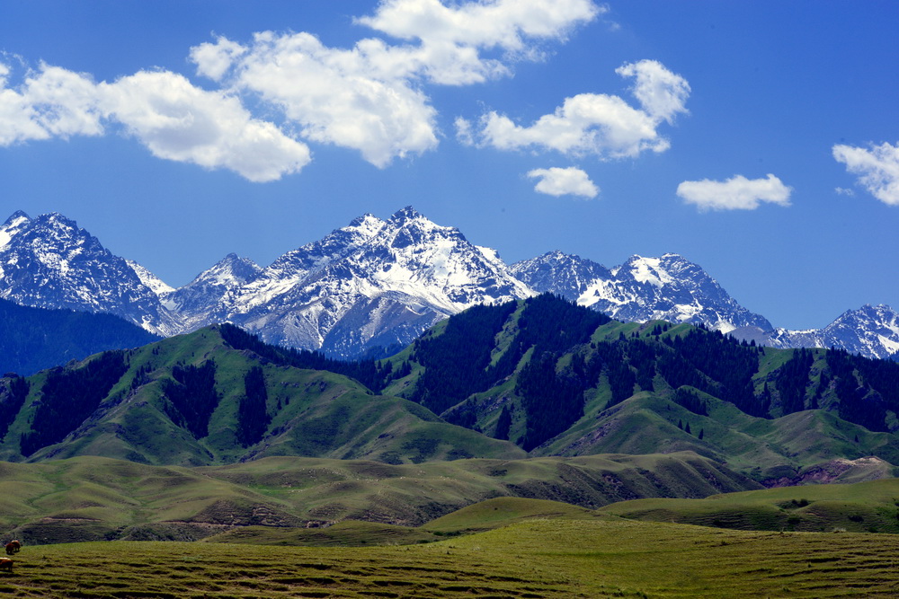 ���ƺ�ѩɽ   ������