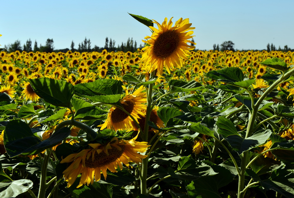 ��   ������