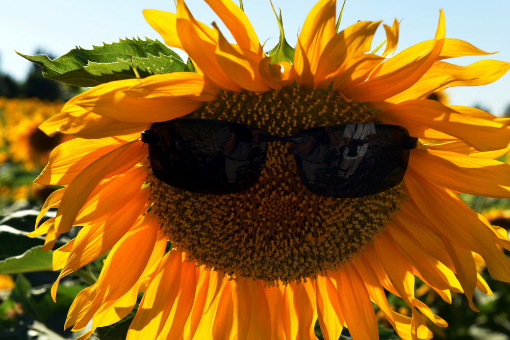 ˧   ������