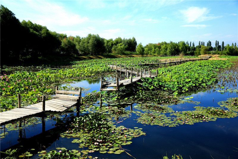 ���������š�