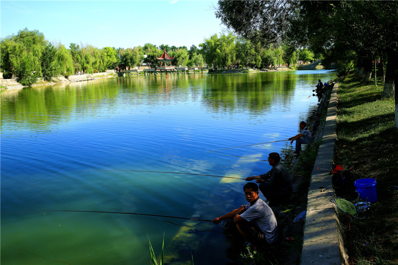 ��������԰