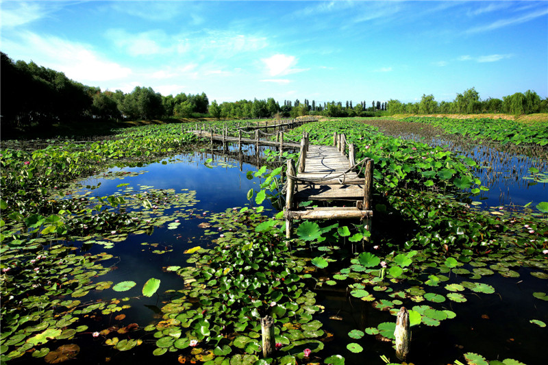 ���� 008_����.jpg