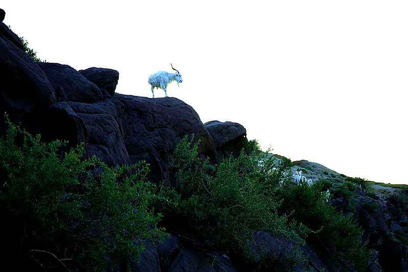 ��������Ϣ��