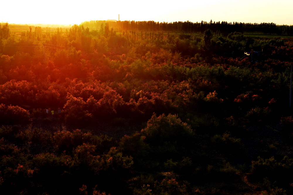 Ϧ������    ������