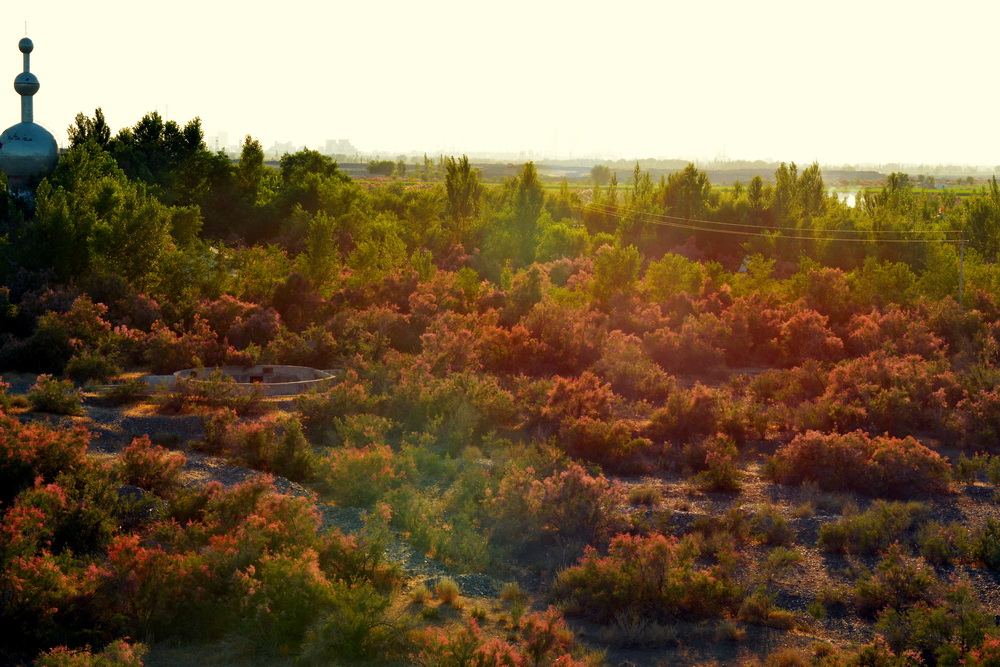 ����   ����