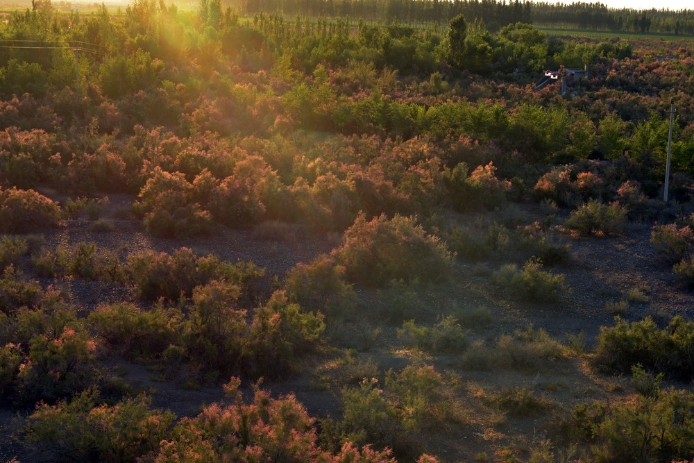 ����   ������