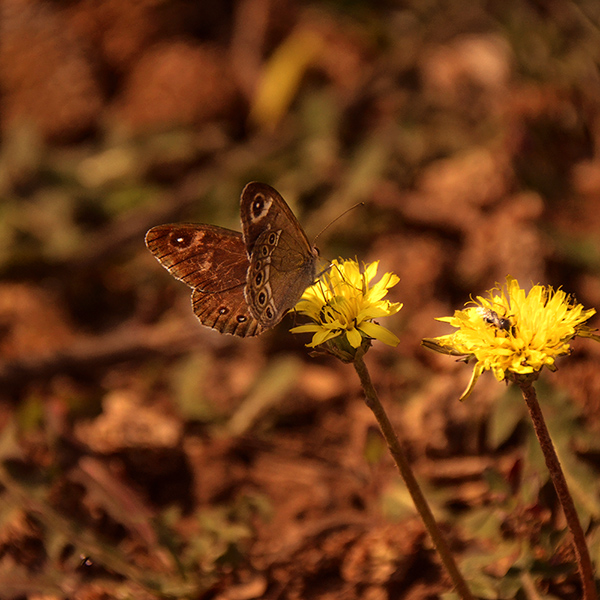 2014��6��22�������¡����� aa15912.jpg