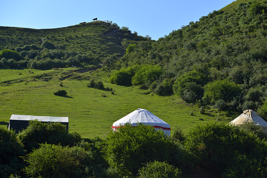 ��ɽ���²ݳ���