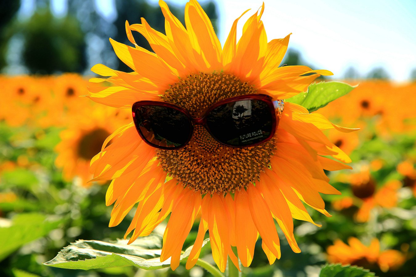 ���տ� 026_.jpg