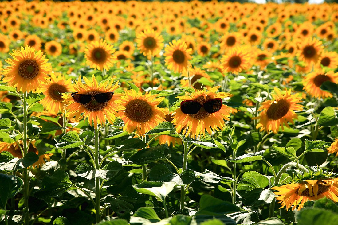 ���տ� 027_.jpg