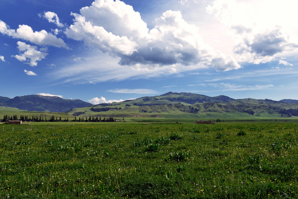 ����   ������