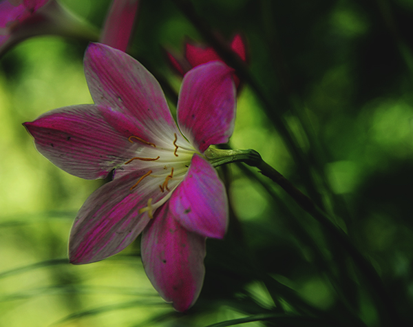 2014��6��22�������¡����� aa24112.jpg