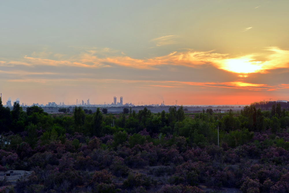 Ϧ����   ������