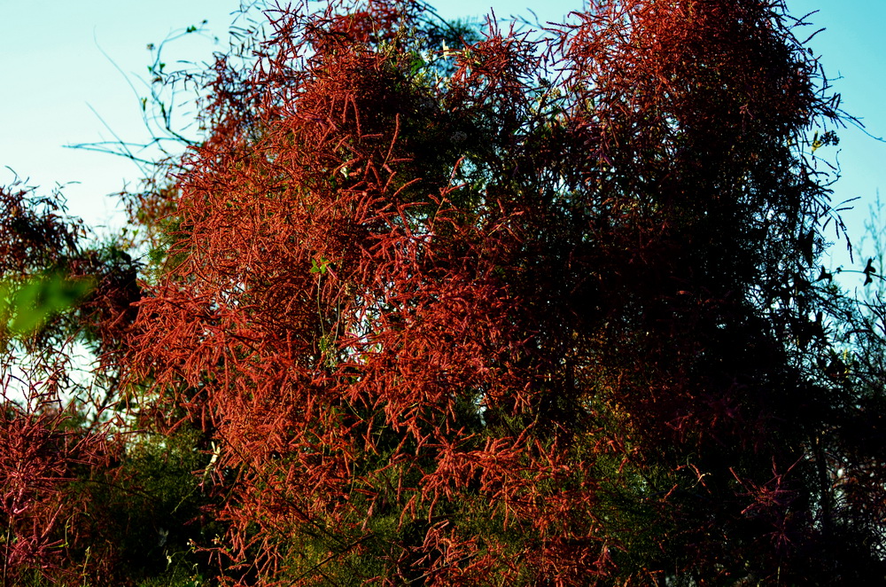 ������    ������