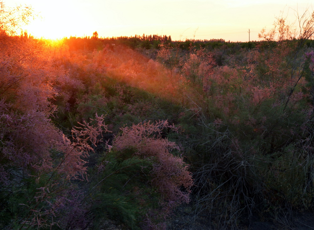 Ϧ������   ������