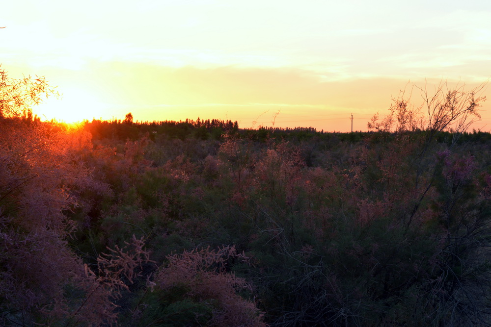 ����   ������