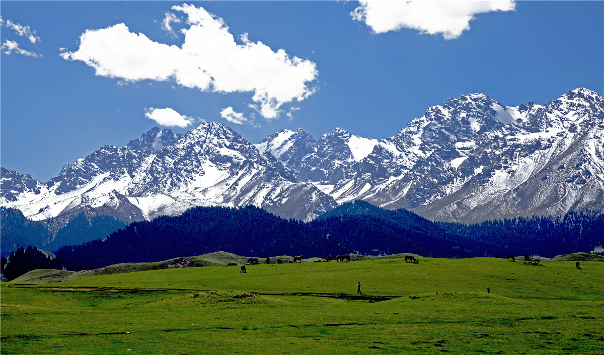 ��ɽ����ţ��׳ (4).jpg