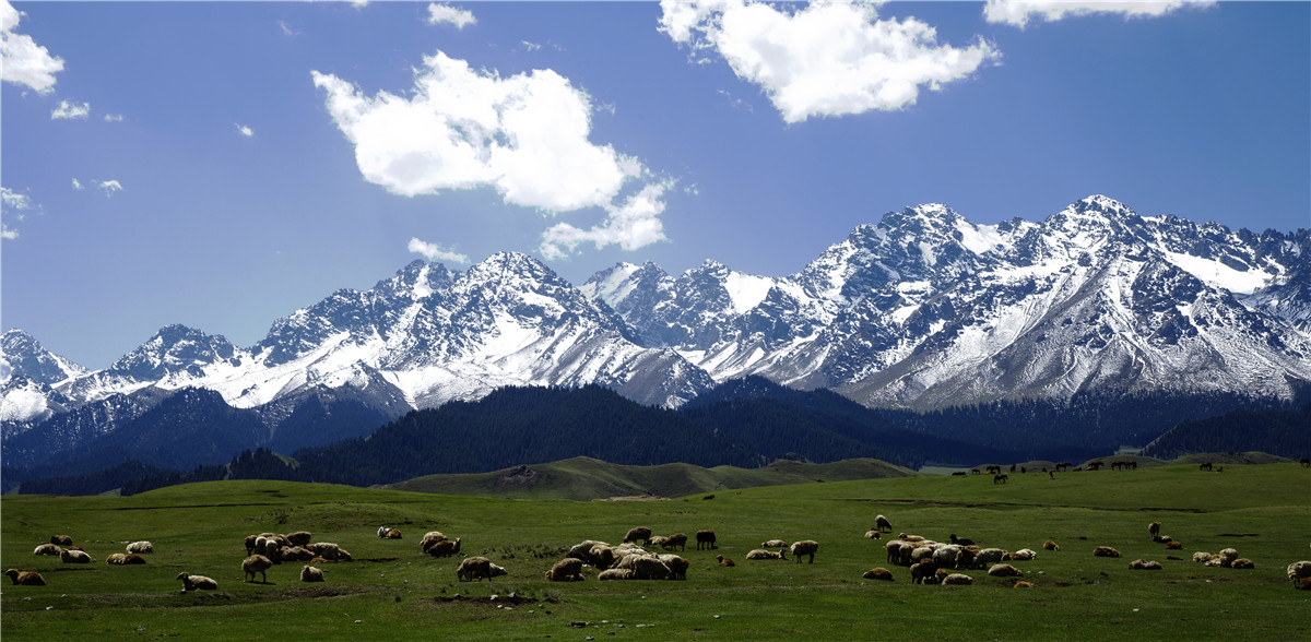 ��ɽ����ţ��׳ (3).jpg