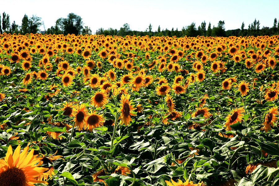 ���տ� 016_.jpg