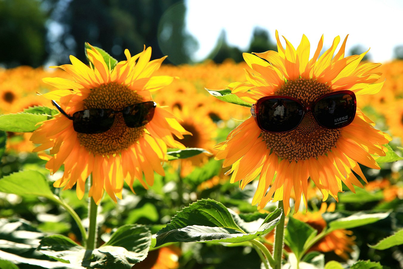 ���տ� 019_.jpg