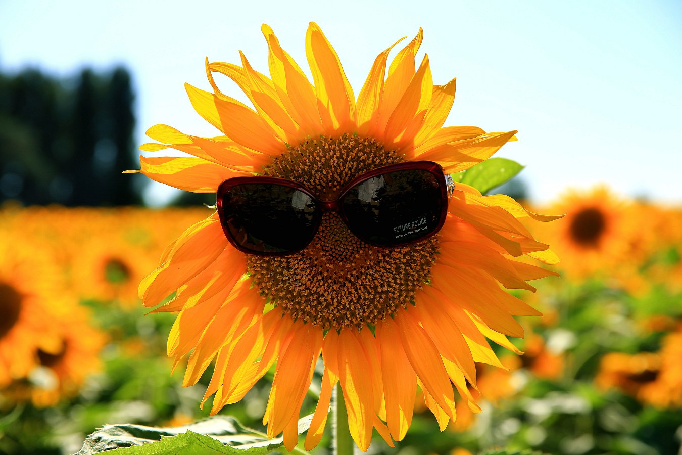 ���տ� 025_.jpg