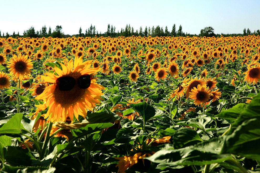 ���տ� 033_.jpg