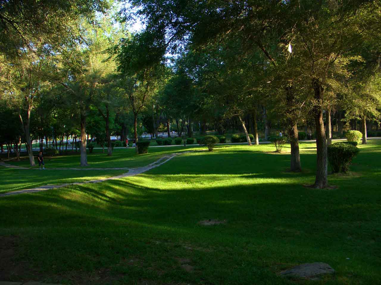 CIMG5099 ����.jpg