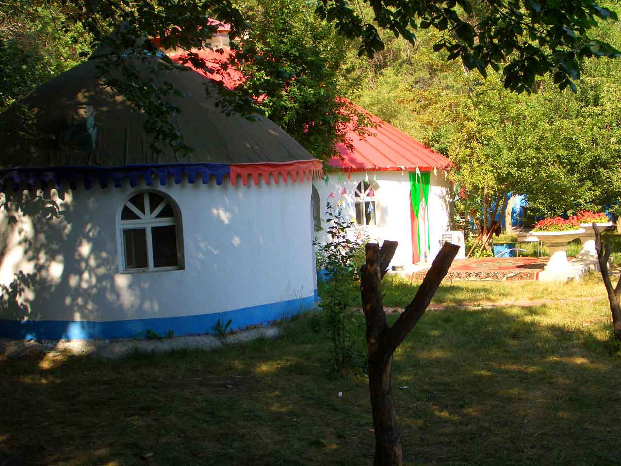 CIMG5050 ����.jpg