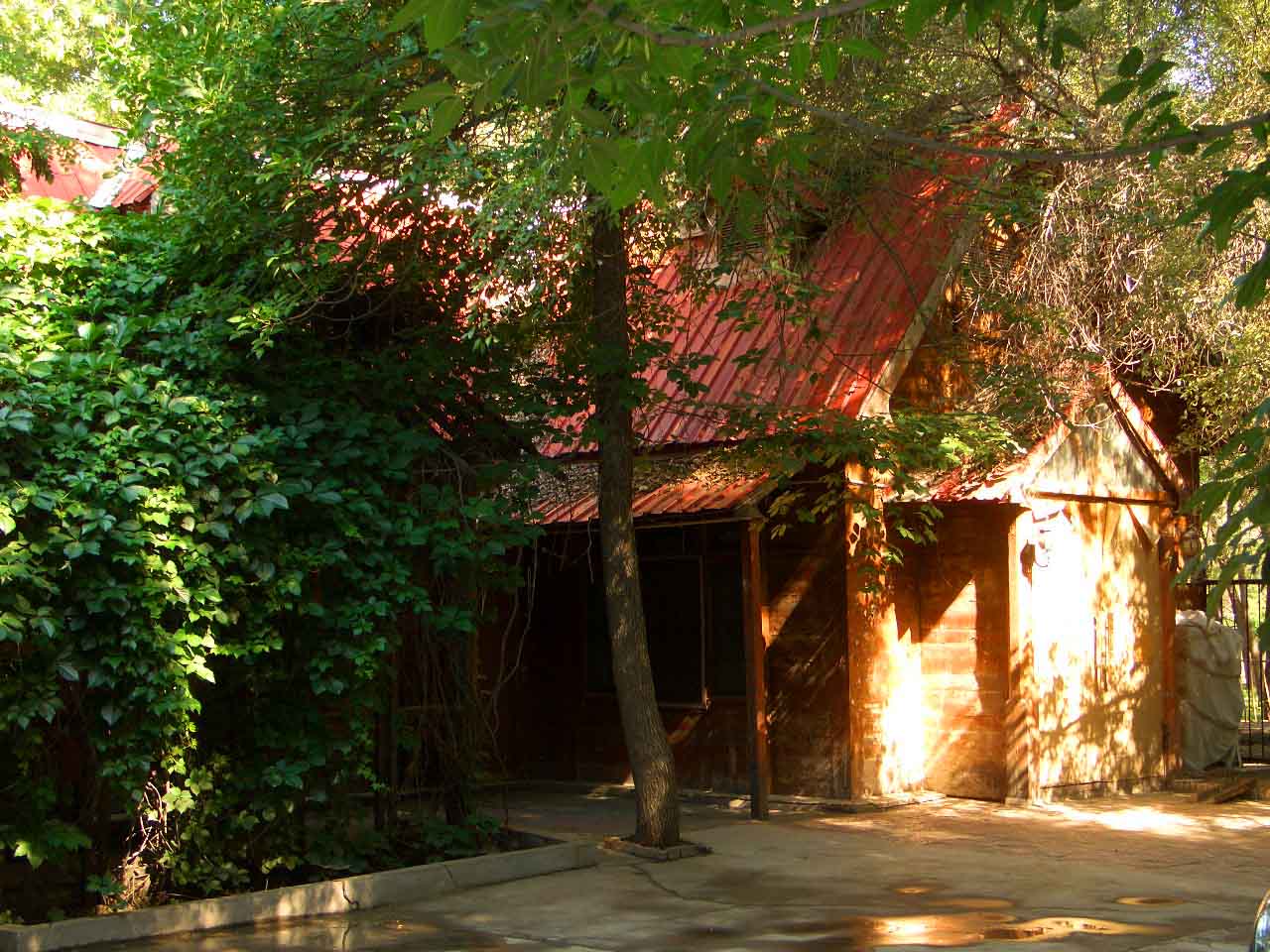 CIMG5053 ����.jpg