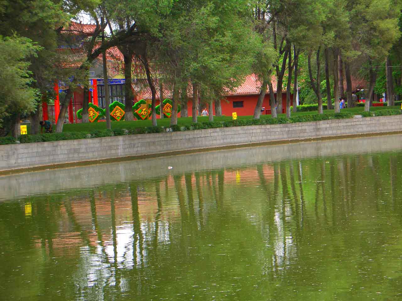 CIMG5083 ����.jpg