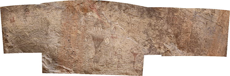 ��Ƭ����һ��ֲ�