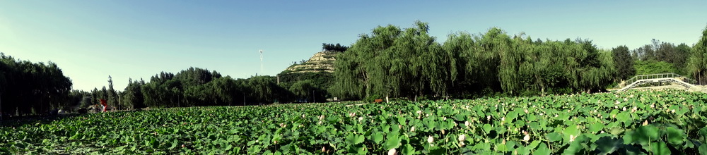 ��ò   ������