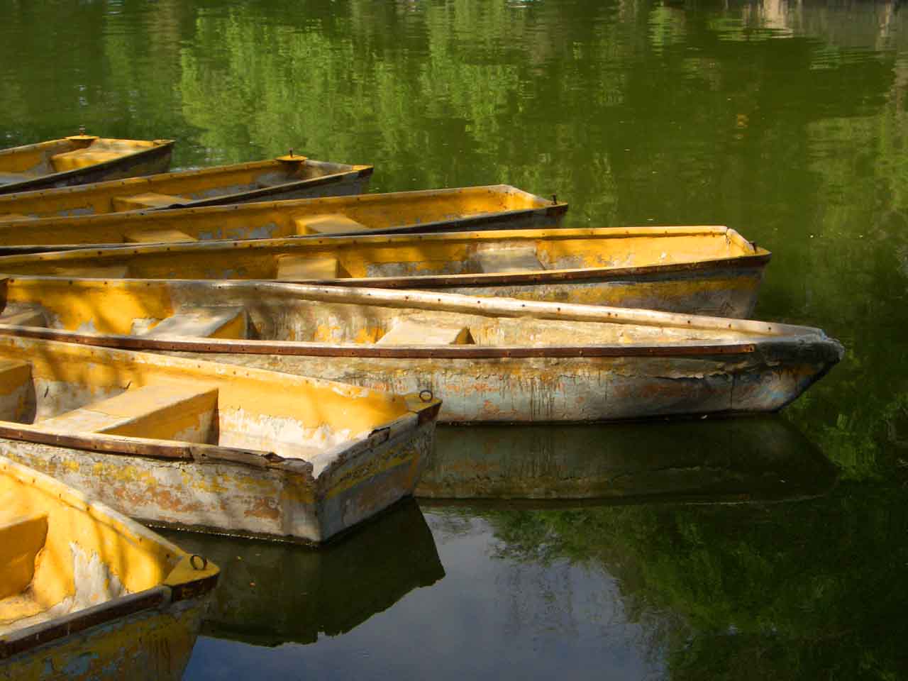 CIMG5064 ����.jpg