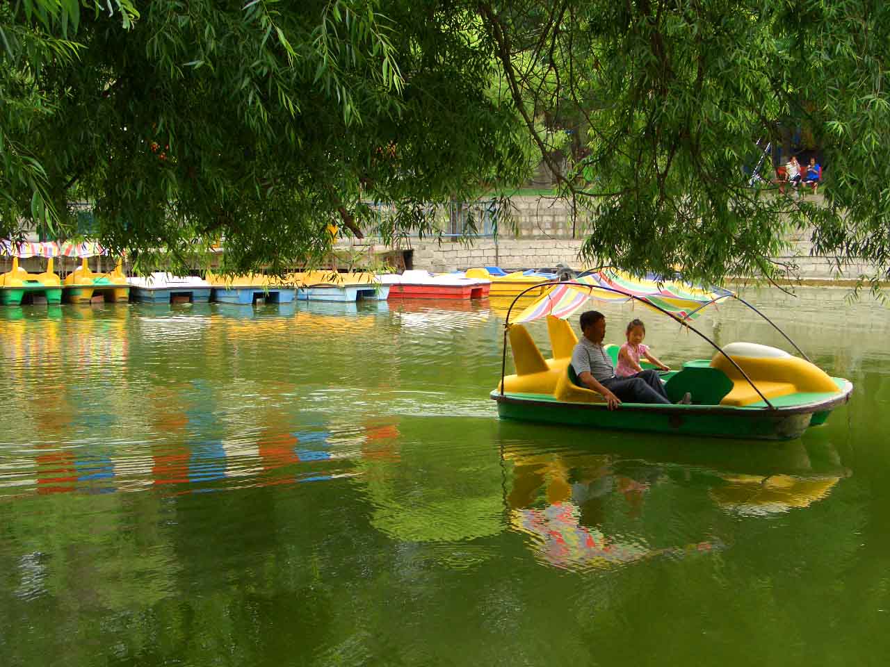 CIMG5086 ����.jpg