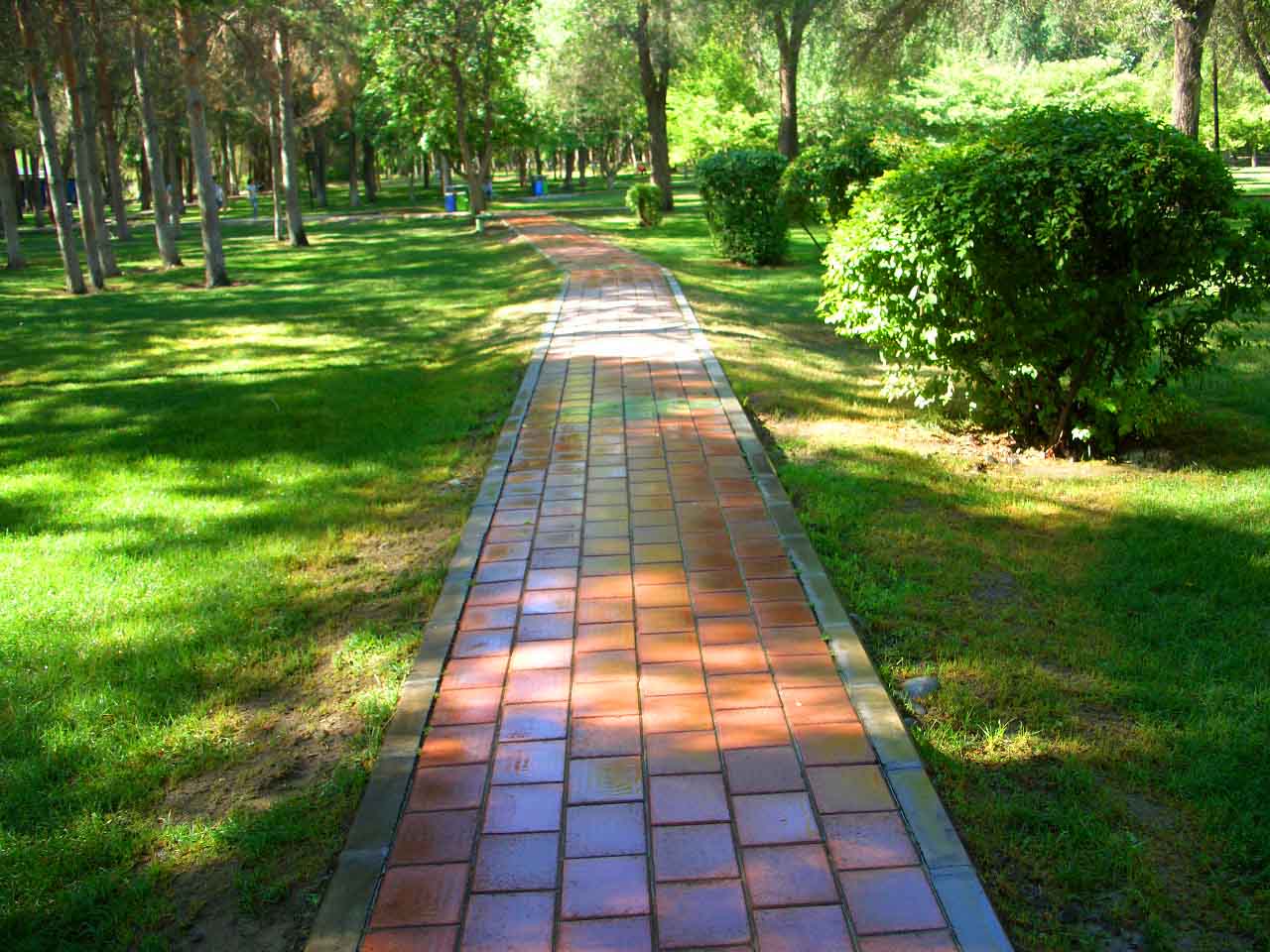 CIMG5115 ����.jpg