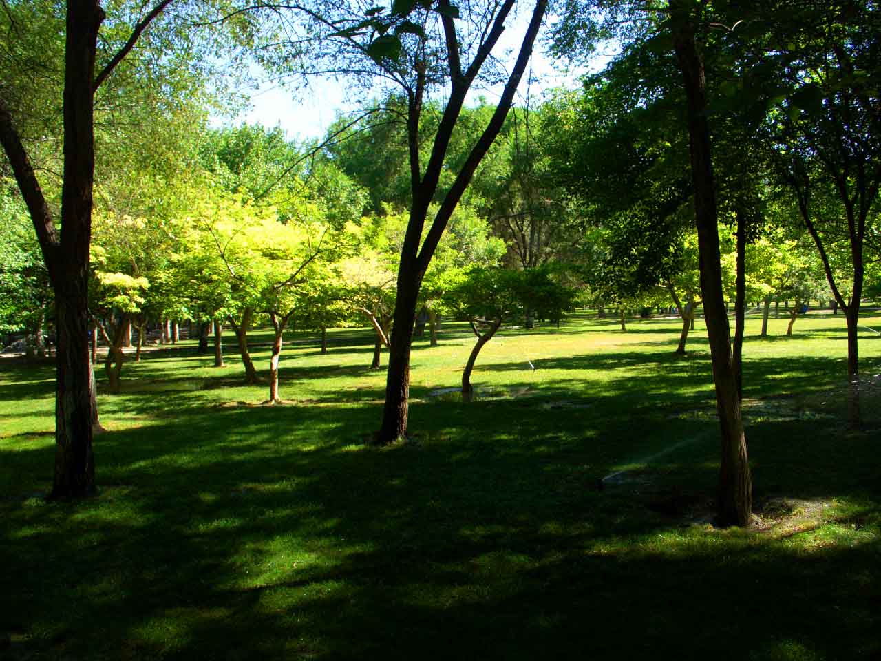 CIMG5128 ����.jpg